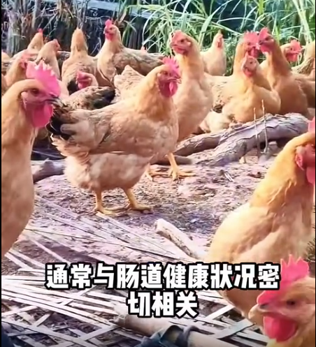 截图20260616092200.png