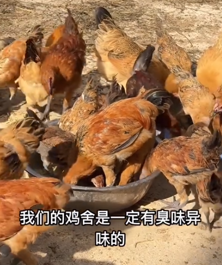 截图20260617092254.png