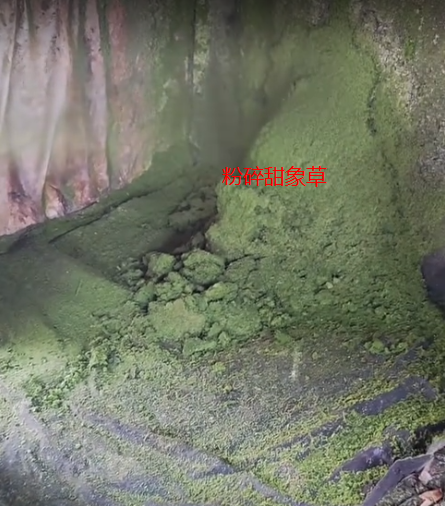 截图20260618092008.png 截图20260618092008.png