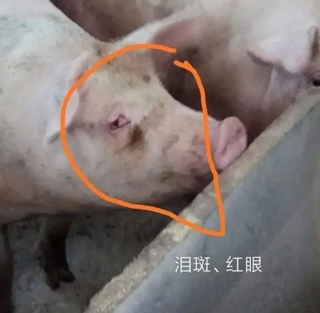 截图20260623095924.png