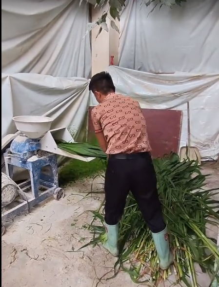 截图20260704092122.png 截图20260704092122.png