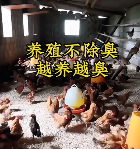 截图20260718100556.png 截图20260718100556.png