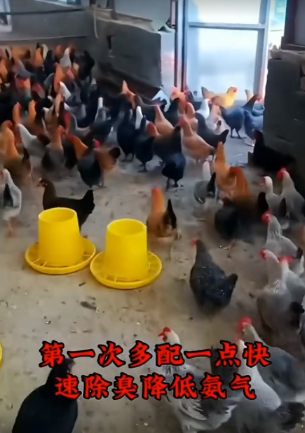 截图20260718101155.png 截图20260718101155.png