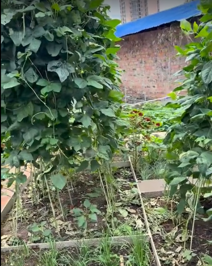 截图20260807105109.png 截图20260807105109.png