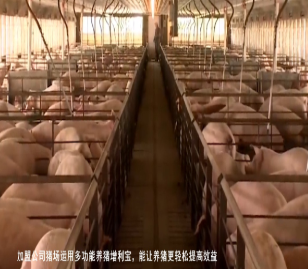 QQ浏览器截图20260811005528.png QQ浏览器截图20260811005528.png