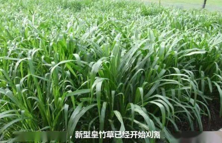 QQ浏览器截图20260814124134.png