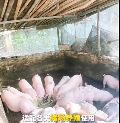 QQ浏览器截图20260814124739.png