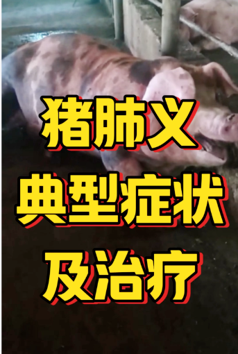 截图20260819153027.png