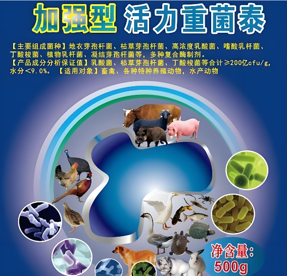 6880d3e8-5c6d-4342-8862-874185f422f1.png