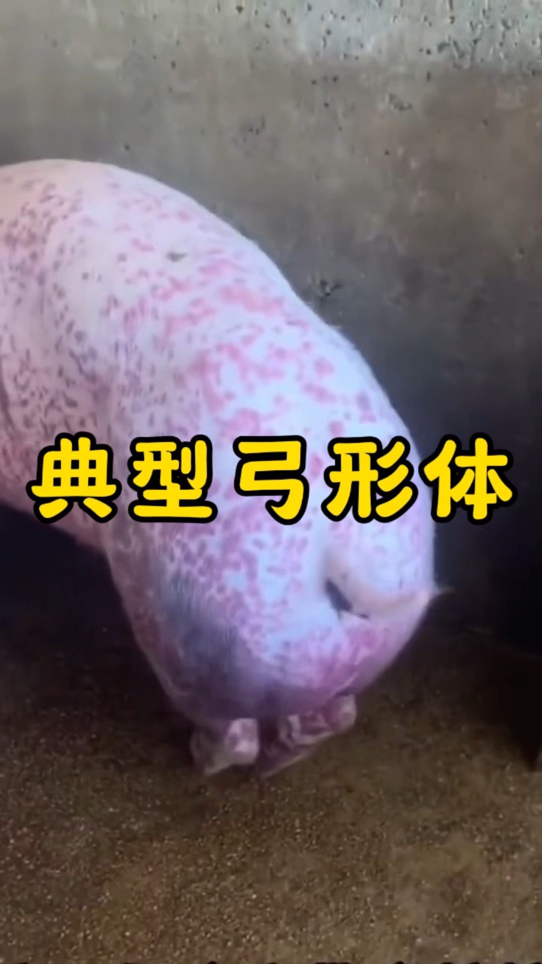 微信图片_20260824092047.jpg 微信图片_20260824092047.jpg