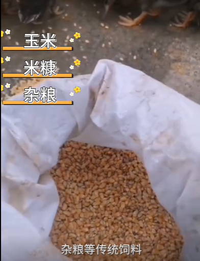 QQ浏览器截图20260825123809.png