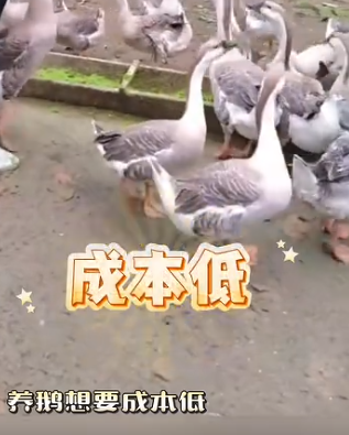 截图20260828092656.png
