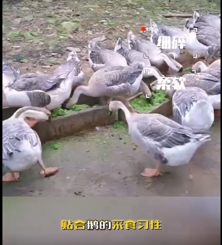 截图20260828093534.png
