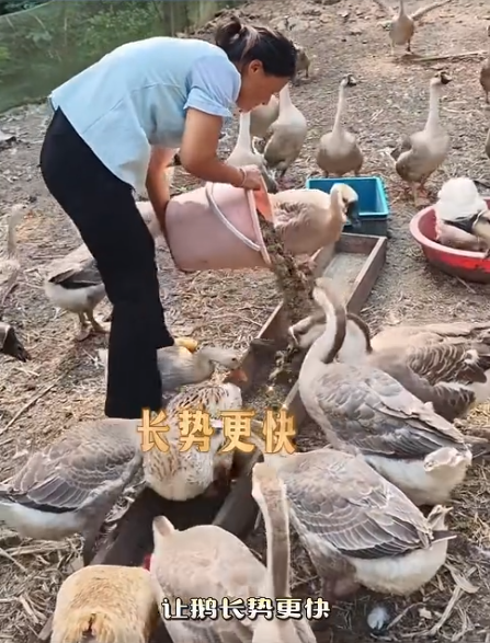 截图20260828093813.png