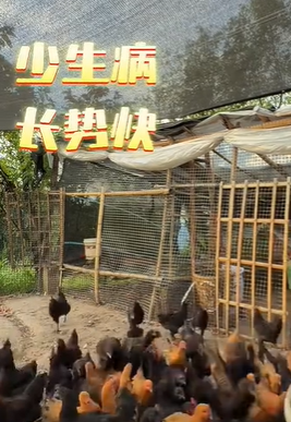 QQ浏览器截图20260828212937.png