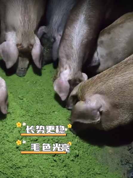 截图20260901102246.png