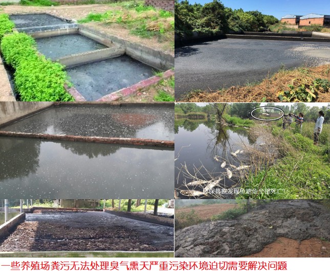 一些养殖场粪污无法处理臭气熏天严重污染环境迫切需要解决问题.jpg