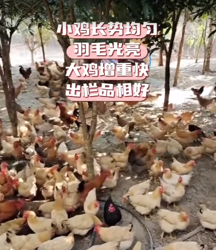 截图20260908092949.png 截图20260908092949.png
