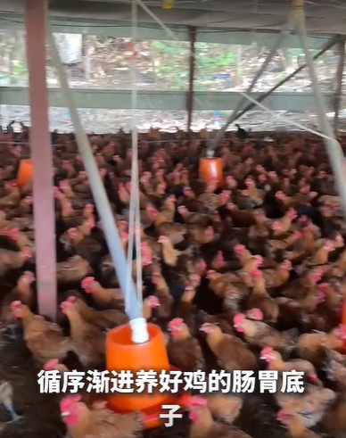QQ浏览器截图20260908213840.png