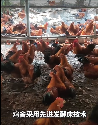 QQ浏览器截图20260909224333.png