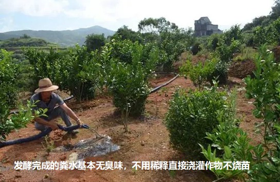 17610297215942167.jpg