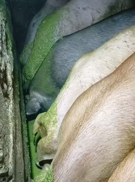 截图20261010092155.png 截图20261010092155.png