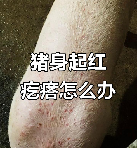 截图20261012093750.png 截图20261012093750.png