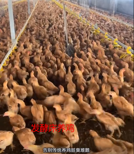 截图20261021095639.png