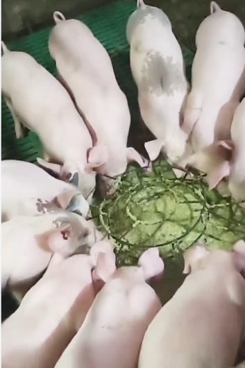 截图20261022103655.png 截图20261022103655.png