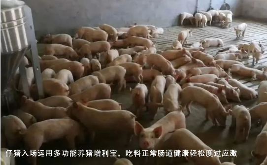 截图20261029100636.png 截图20261029100636.png
